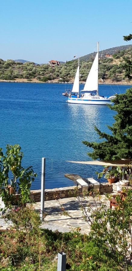 Blueline Guesthouse Agios Dimitrios  외부 사진