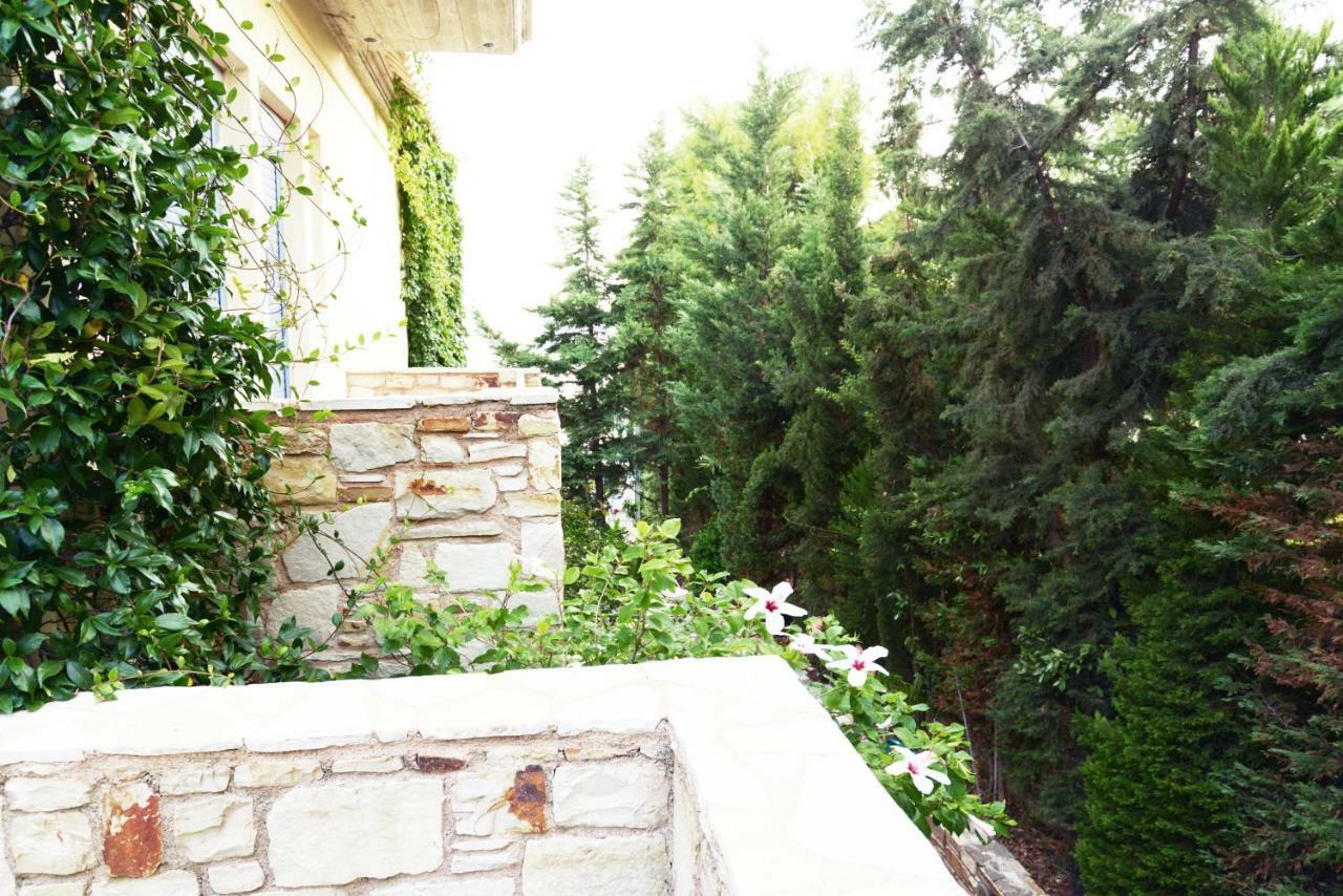 Blueline Guesthouse Agios Dimitrios  객실 사진